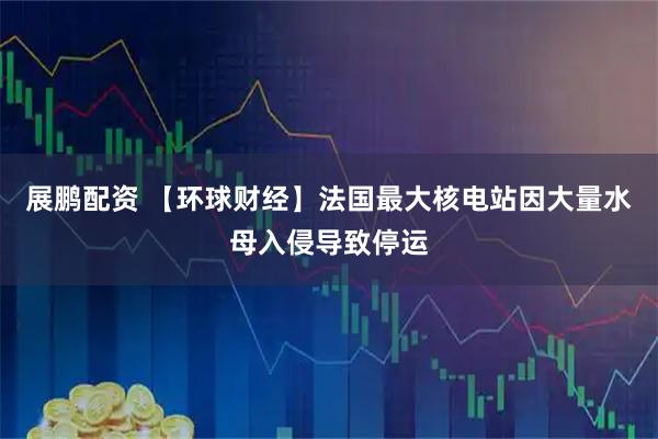 展鹏配资 【环球财经】法国最大核电站因大量水母入侵导致停运