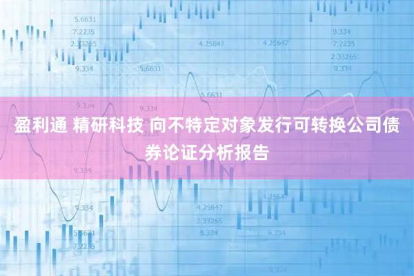 盈利通 精研科技 向不特定对象发行可转换公司债券论证分析报告